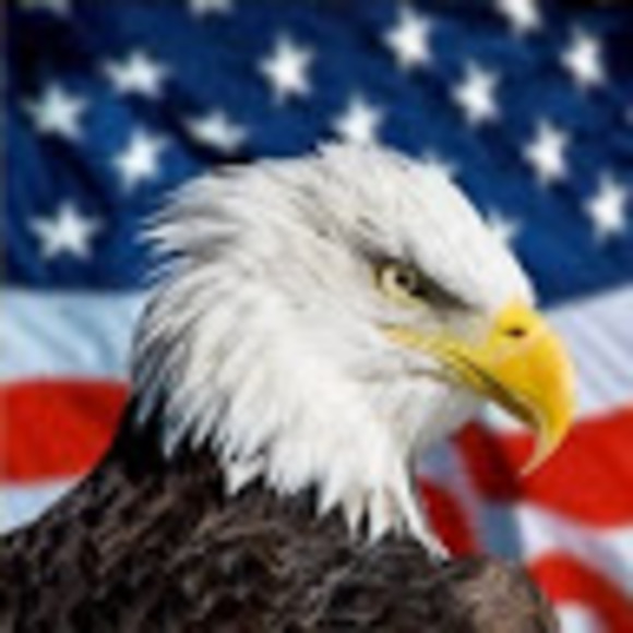 Meet your Posher, Daniel - Picture 1 of 1